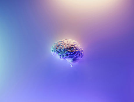 3D rendering of a human brain floating in a luminous purple and blue gradient background. The brain is depicted with detailed folds and wrinkles, appearing to glow with a soft white light, symbolizing cognitive function and mental clarity.
