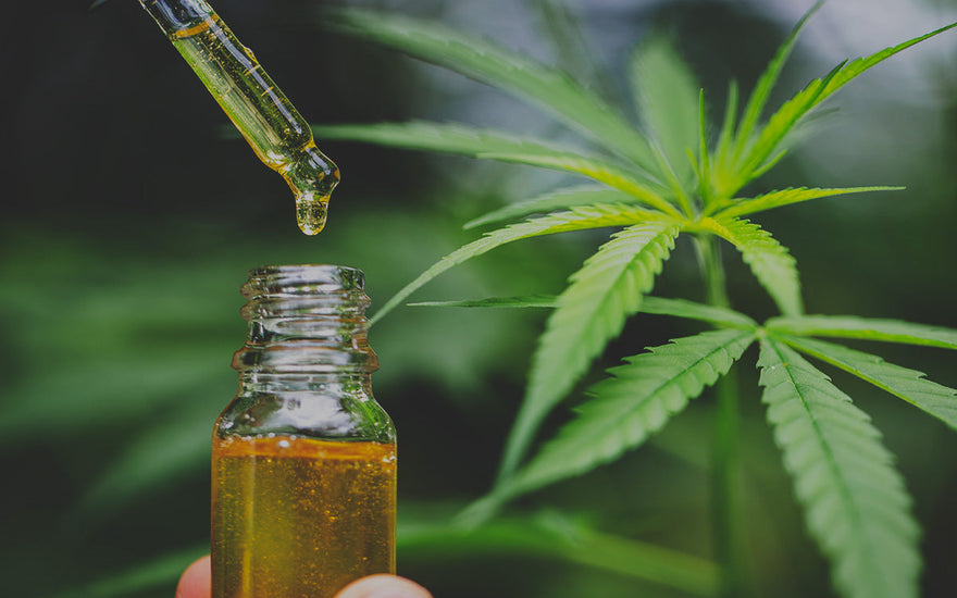 What is CBD? Your Complete Guide to Cannabidiol